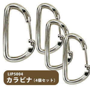 LIP5004 Jrii4ZbgjtFbg nbN t iXJ p[c L[O L[z_[ tbN ݂艺 AEghAy[։z