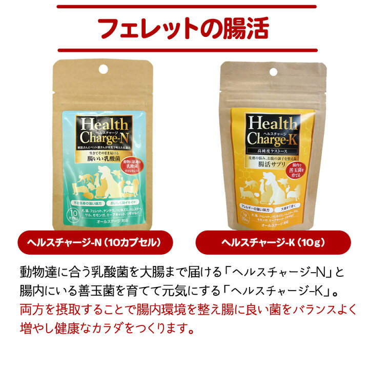 楽天市場】【セット商品】買ってよかった！組み合わせセット2 ヘルス 
