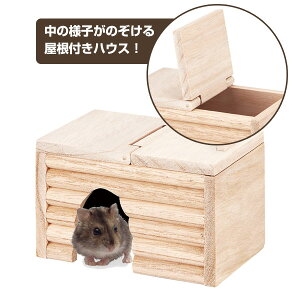 }J@CASA@WKÂ̂ĈSnEX iT1jWKAnX^[ nX^[  pinEX  VR J sgpiNKjy񂹁z