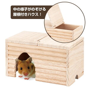 }J@CASA@S[f̂̂ĈSnEX iT1jS[fnX^[ nX^[  pinEX  VR J sgpiNKjy񂹁z