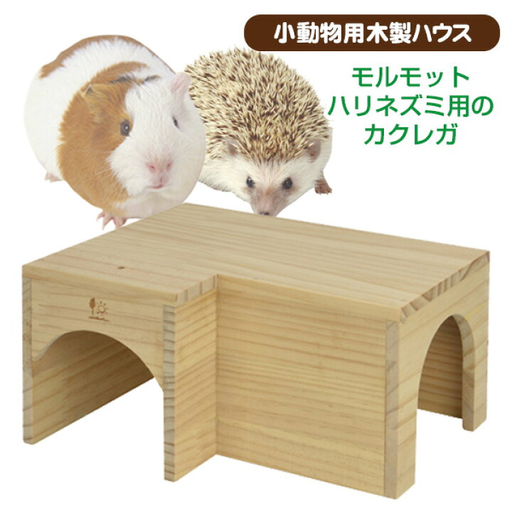 楽天市場】三晃商会 モルハリハウス（T1）小動物 ペット モルモット 