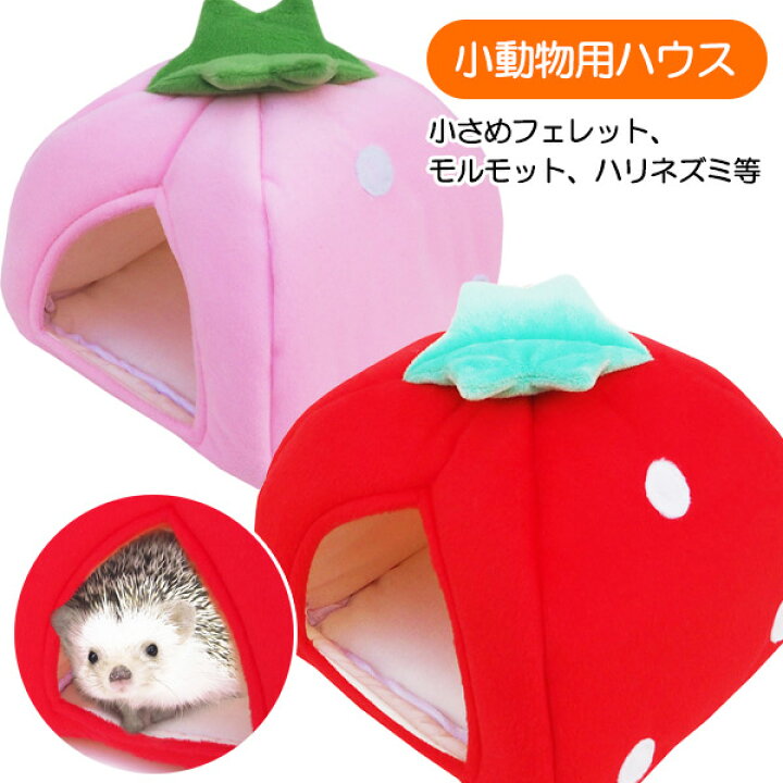 楽天市場】【RB】みんなのテントハウス (F2) ハリネズミ モルモット 