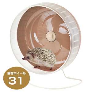 }J@CASA@ÉzC[31iT1jnlY~ fO[ `` v[[hbO  񂵎 zC[ iNKjy񂹁z