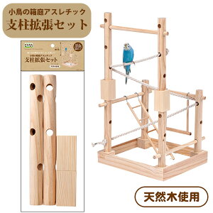 }J@CASA@̔AX`bN xgZbgiT1j ZLZCCR IJCR   VR؁iNKjy񂹁z