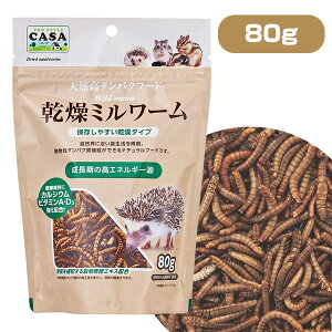 }J@CASA@Chj[@~[ 80giT1jnlY~ K nX^[ X  pi GT a t[h HiNKjy񂹁z