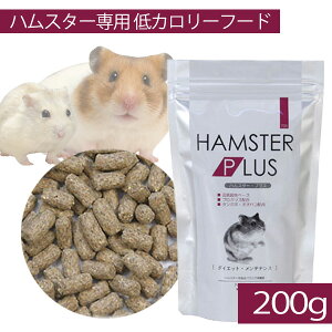 OW@nX^[vX@200gi_CGbgEeiXjnX^[ h[tnX^[ S[fnX^[  t[h a GTiNKj