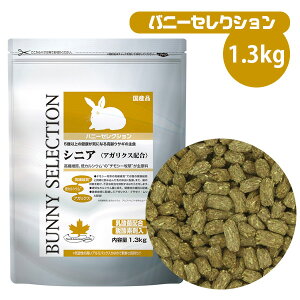 C[X^[ oj[ZNV VjA 1.3kg iT1jyJVEzy@ێzoj[ ETM  VjA ETM  t[h GT a  ͂ `V[ qiNKjy