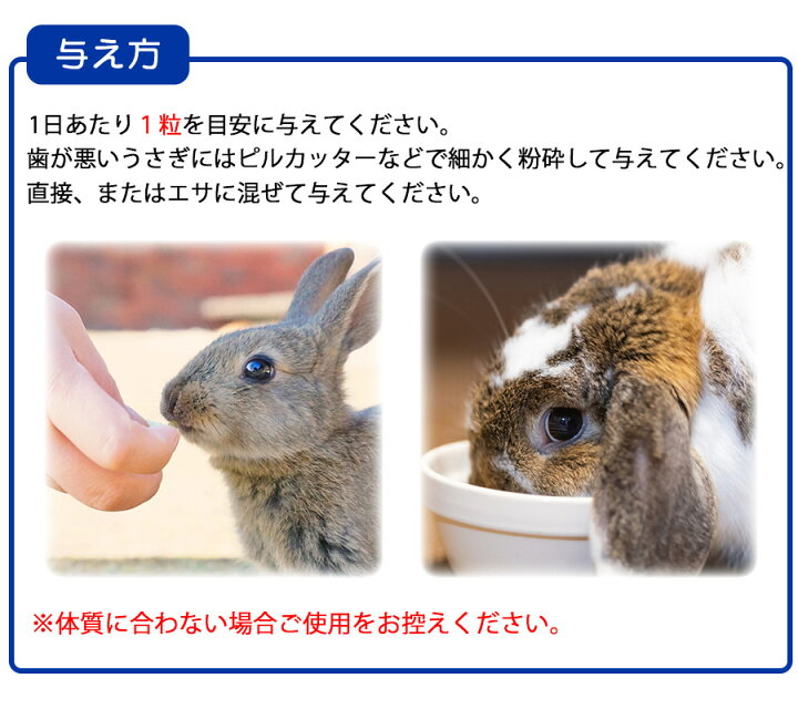 楽天市場】うさぎの瞳にブルーベリー＆ルテイン うさぎ ウサギ 小動物 
