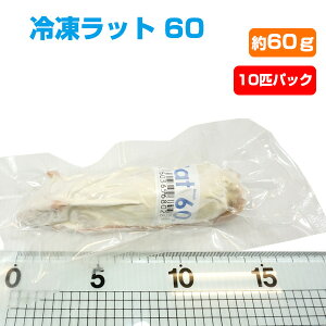 yⓀzⓀbg 60i60gj10CpbNiT2jyN[֔zy퉷iƂ̓szGT a t[h Ⓚ}EX ঒ ͒ ҋח Ⓚa N[ wr tNE }EX ˂ l