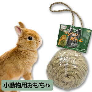 JC@{[ iT2j `` bg   {[ `V[ VRiNKjy񂹁z