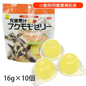 OW@[ʏ` tN[[i16g×10jiT1jtNK K  h{⋋ Tvg ʏ`[[ }OlVE t[ciNKjy񂹁z