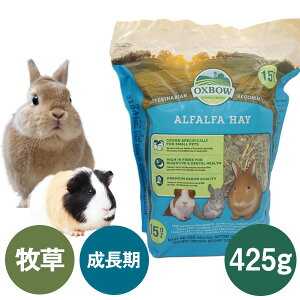 OXBOW �A���t�@���t�@�w�C�@425g�iT2�j ������ �`���`�� �������b�g ���H���� ������ �X���[���A�j�}�� �q�� ������ �iNKK�j�y�����񂹁z