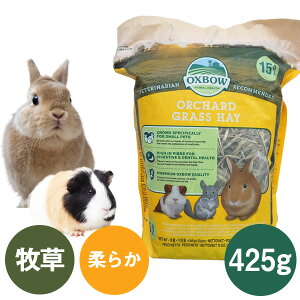 OXBOW I[`[hOXwC425giT2j `` bg H  X[Aj} q `V[ 炩iNKKjy񂹁z