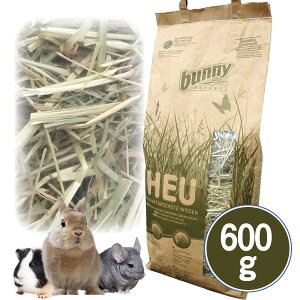 oj[lC`[ lC`[RU[x[VhEwC 600giF4j  ETM nX^[ bg `` fO[ v[[hbO  q ⏕H t[h a GT H