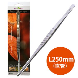 yREPTI ZOOzRP01 RZ sT[tH[ZvX sZbg FR02iT1j@঒  ͒ sZbg XeX  a eiXiNKjy񂹁zy[։z