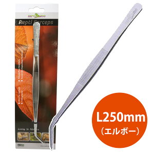 yREPTI ZOOzRP02 RZ sT[tH[ZvX sZbg250G{[ FR03iT1j@঒  ͒ sZbg XeX G{[ J[u a eiXiNKjy񂹁zy[