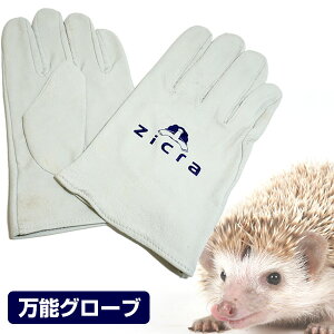 WN@\O[u@{vdl@NXg^CviT2j@tNK nlY~ nX^[ tgASqQgJQ COAi R[Xl[N  ঒ nhO O[u 