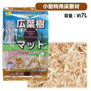 OW@Lt}bg@7L@ nX^[ X nlY~  pi ~ ~ }bgiNKj