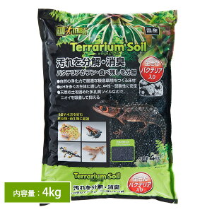 GEX エキゾテラ テラリウムソイル 4kg(T2)爬虫類 両生類 甲殻類 床材 ソイル 土 水槽 消臭 飼育 レイアウト トカゲ カエル ヘビ ジェックス(NK)【お取り寄せ】