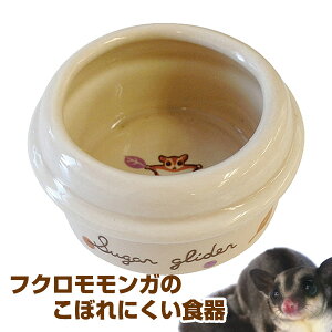 }J@CASA@tNK̂ڂɂHiT1j tNK  pi H t[hfBbV M GTMiNKjy񂹁z