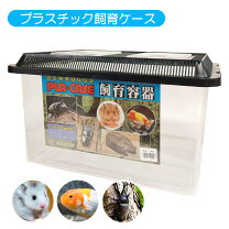 楽天市場】特大 飼育ケースの通販