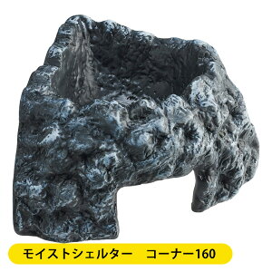 GEX CXgVF^[ R[i[ 160iT2j঒ VF^[ B  E VF^[ ANZT[  y WFbNXiNKjy񂹁z