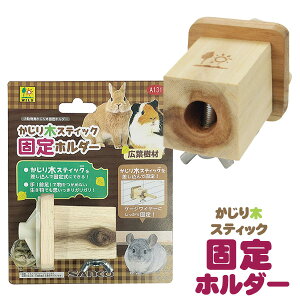 OW@؃XeBbN@Œz_[iT1jnX^[ fO[ ``  bg   z_[iNKjy񂹁z