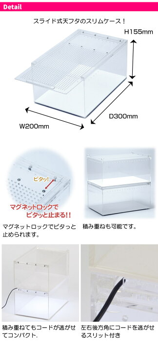 楽天市場】三晃商会 Repti wild レプタイルボックス（T1） 爬虫類 
