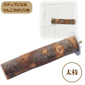 マルカン　CASA　ステップになるりんごのかじり木　太枝（T1）小鳥 デグー チンチラ モモンガ リス うさぎ 小動物 かじり木 ステップ 天然木 りんご 止まり木 ストレス発散（NK）【お取り寄せ】
