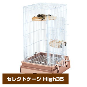 }J@CASA@ZNgP[W High35 iT1j tNK fO [X P[W Q[W  nEXiNKjy񂹁z