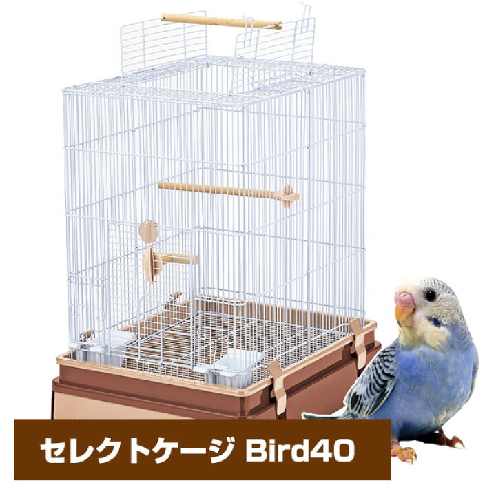 楽天市場】マルカン CASA セレクトケージ Bird 40（T1）小型インコ