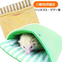 楽天市場】モフズ ハリネズミの通販