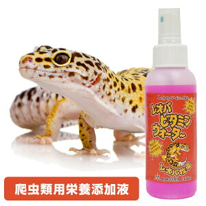 Ip@r^~EH[^[@100ml@IpqiT2jqEgJQhL ঒ r^~ Yt Y Ip[hQbR[iNKjy񂹁z