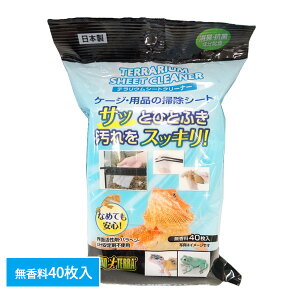 GEX GL]e eEV[gN[i[@40iT2j঒  EFbgV[g | LR  R WFbNXiNKjy񂹁z