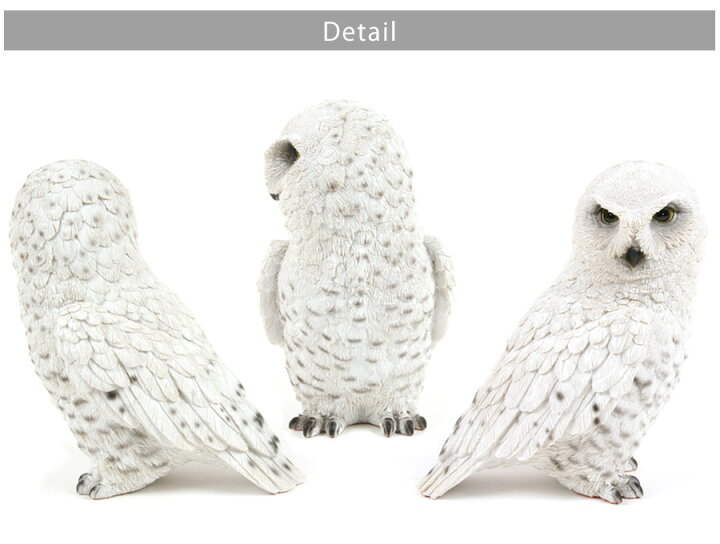 楽天市場 ペットバンク スノーウィオウル 雑貨 貯金箱 オーナーグッズ 置き物 オブジェ インテリア ガーデン かわいい リアル フクロウ ふくろう シロフクロウ フェレットワールド 楽天市場店