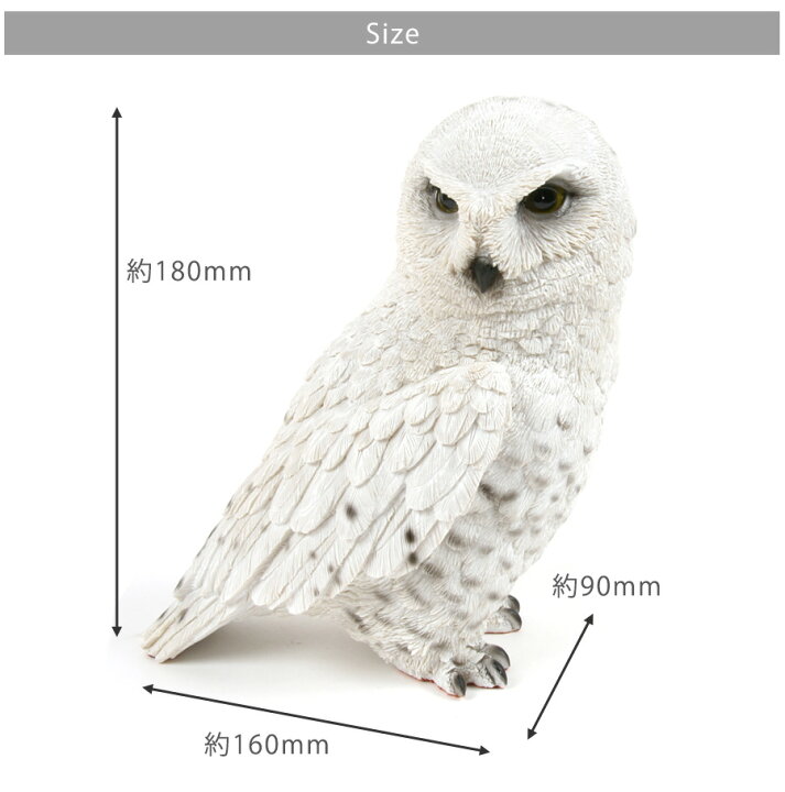 楽天市場 ペットバンク スノーウィオウル 雑貨 貯金箱 オーナーグッズ 置き物 オブジェ インテリア ガーデン かわいい リアル フクロウ ふくろう シロフクロウ フェレットワールド 楽天市場店