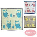楽天市場 フクロウ雑貨 新着アイテム フクロウ フェレットワールド 楽天市場店
