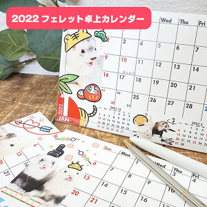 【ゆうパケットOK（メール便）】2022 フェレット卓上カレンダー【当店オリジナル】カレンダー フェレットカレンダー2022 卓上 壁掛け 写真 イラスト 雑貨 グッズ かわいい 小動物 アニマル 令