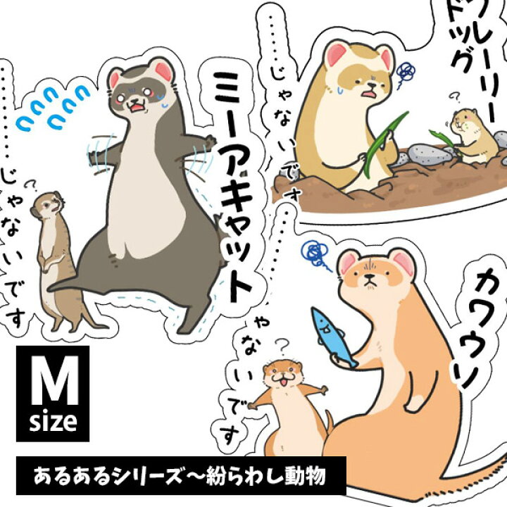 楽天市場 ゆうパケットok メール便 オリジナルフェレットステッカー あるあるシリーズ 紛らわし動物 ｍサイズフェレット イタチ 鼬 ステッカー シール Uv加工 防水 デコレーション イラスト キャラクター かわいい おもしろい グッズ フェレットワールド 楽天市場店