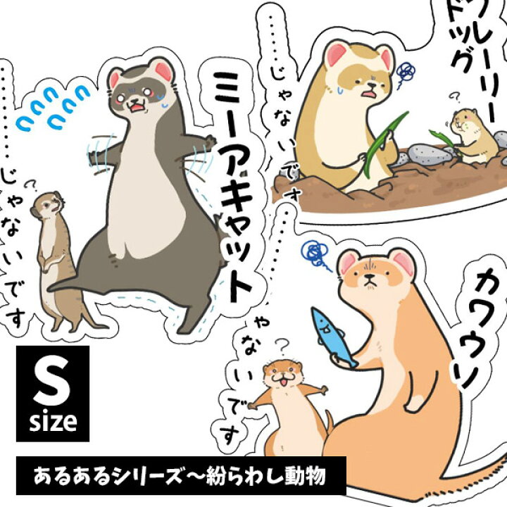 楽天市場 ゆうパケットok メール便 オリジナルフェレットステッカー あるあるシリーズ 紛らわし動物 Sサイズフェレット イタチ 鼬 ステッカー シール Uv加工 防水 デコレーション イラスト キャラクター かわいい おもしろい グッズ フェレットワールド 楽天市場店