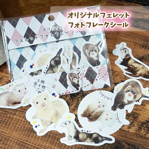 y󒍐YzIWi@tFbgtHgt[NV[tFbg C^`  XebJ[ V[ fR[V fRV[ _CJbg CXg LN^[ 킢 ObY L 