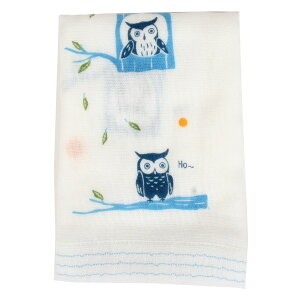 ͂Ăʂ@̂ӂ낤i819-667jtNE G I[i[G K[[ @ ʂ tFCX^Iy[։z