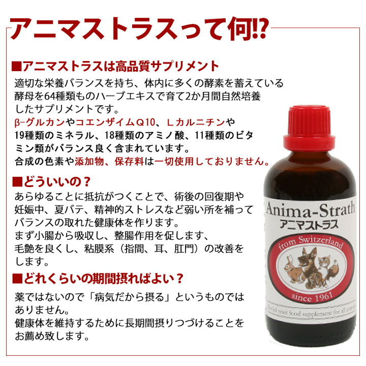 楽天市場】アニマストラス 顆粒タイプ20g 犬 ドッグ 猫 