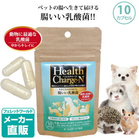 【正規品】ヘルスチャージ-N（10カプセル）【乳酸菌】【栄養補給】【健康維持】【オールステージ対応】【国産】　犬 猫 フェレット ウサギ チンチラ ハリネズミ ペット 乳酸菌 整腸 腸内環境 免疫 大腸 善玉菌 アレルギー 栄養補助 長生き【メール便可】