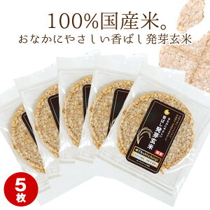 ɂ ΂茺 wX`[WV[Y 5i100%茺ājyz tFbg t[h hbOt[h Ic  _CGbg N тÂ XgX V h{