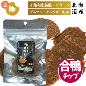 ɂ kCY `bv 20g wX`[WV[YyYzyYz hbO tFbg L  t[h  GT Ic  Yf Y Tvg Nێ IK3