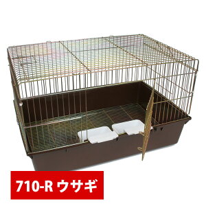 P[W GB 710-R yzy20OFFzyz@tFbg T[N P[W Q[W