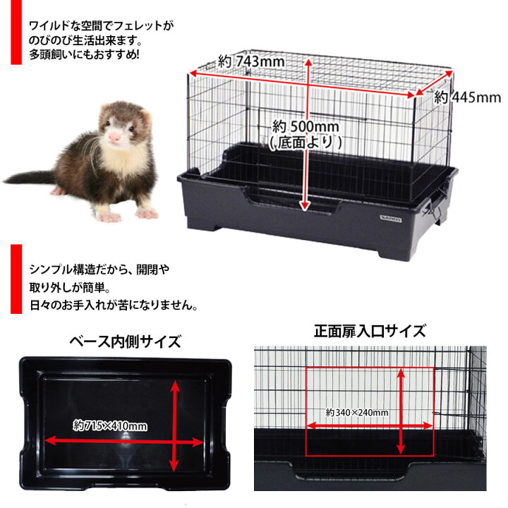 楽天市場】三晃商会 ワイルドホーム C69【送料無料】 フェレット 