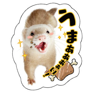 IWitFbgXebJ[@ʐ^V[Y`fRtF2 MTCYtFbg C^`  XebJ[ V[ UVH h fR[V CXg LN^[ 킢 낢 O