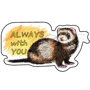 IWitFbgXebJ[@ALWAYS with YOUSTCYtFbg C^`  XebJ[ V[ UVH h fR[V CXg LN^[ 킢 낢 ObYy[։